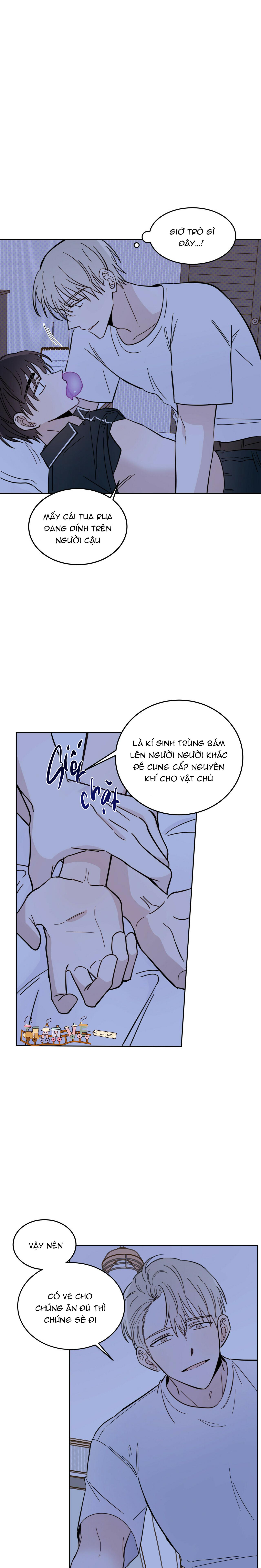 Trang 13