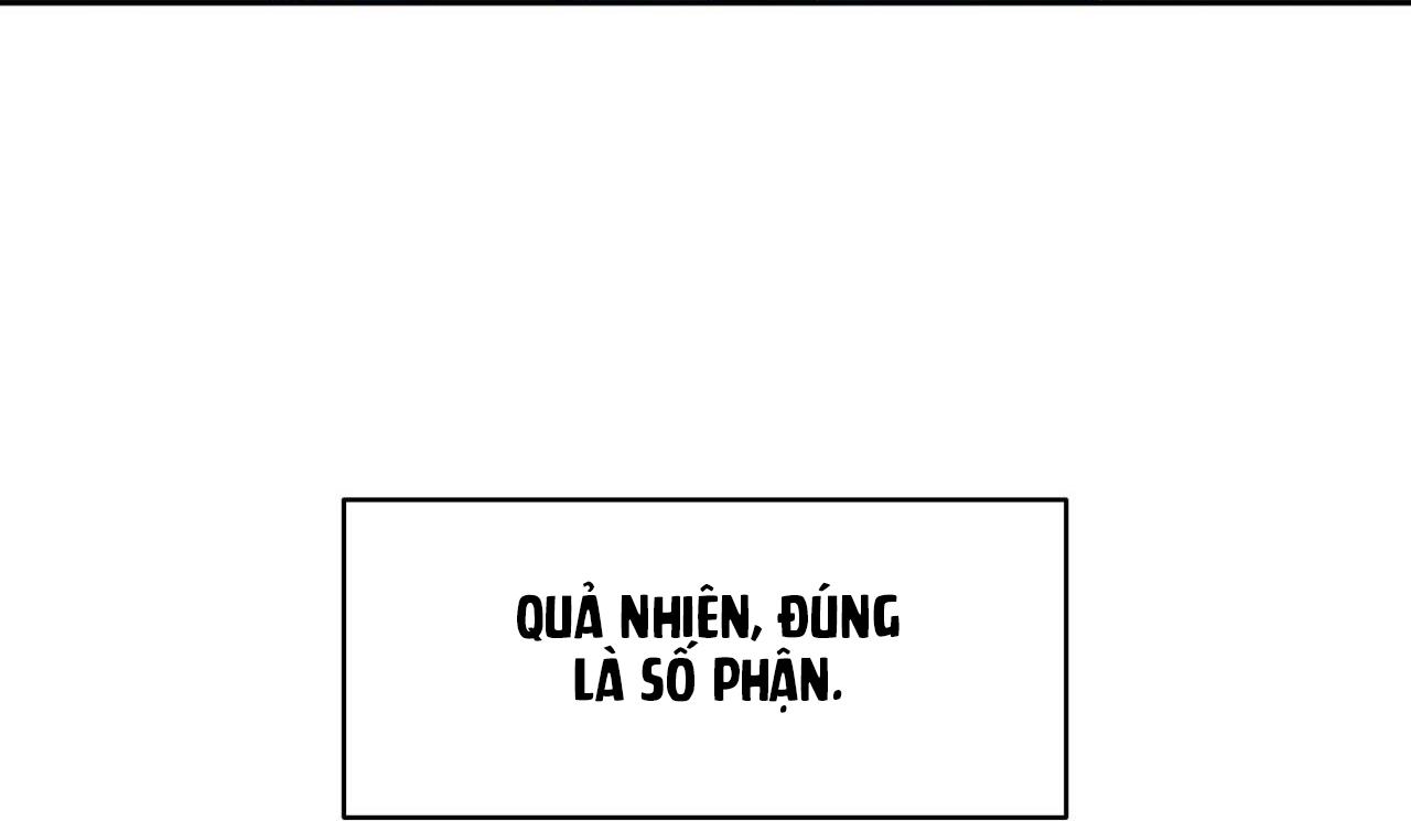 Trang 117