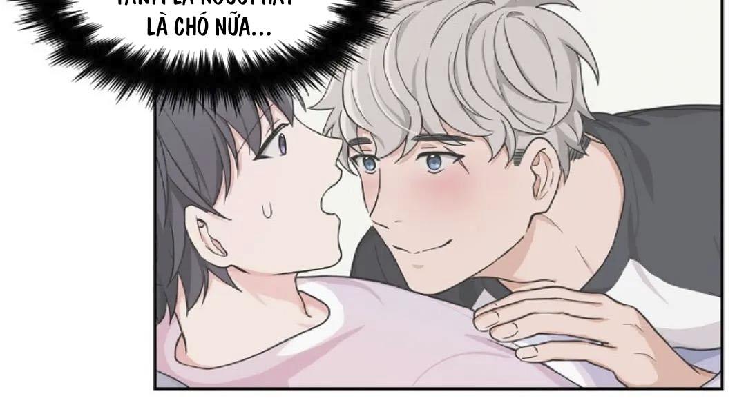 Trang 37