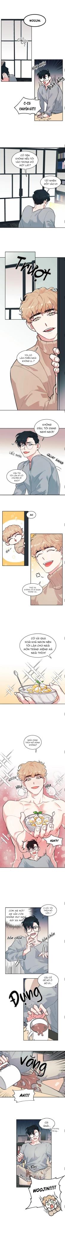 Trang 5