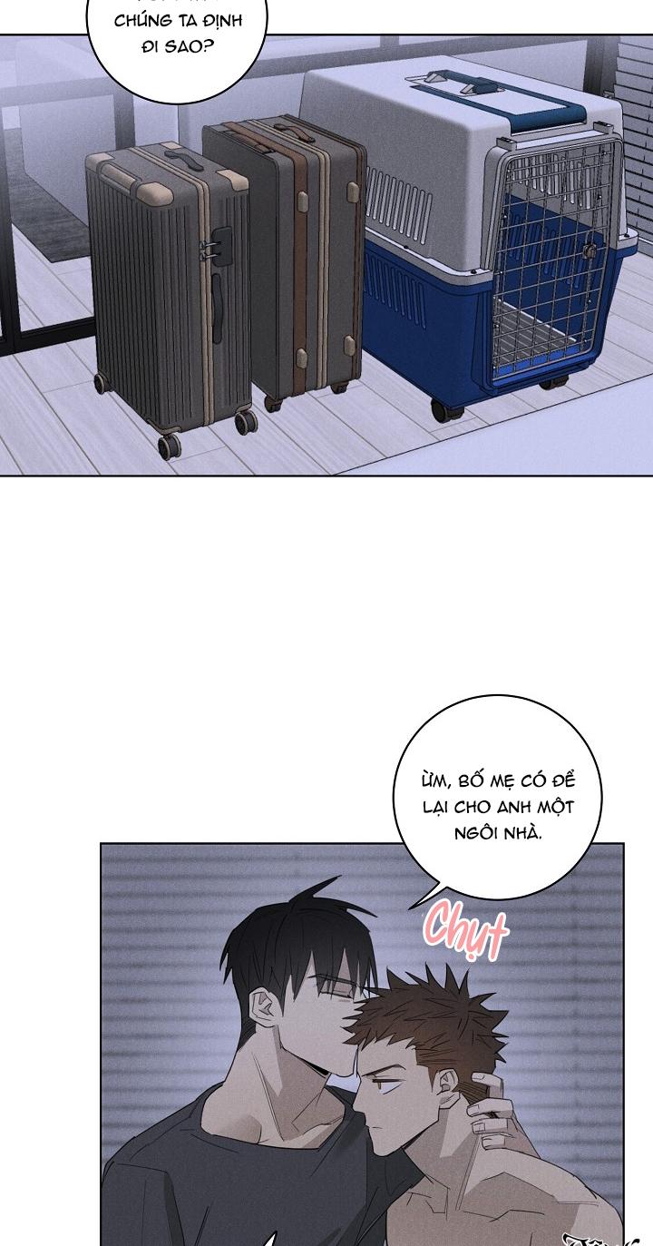 Trang 28