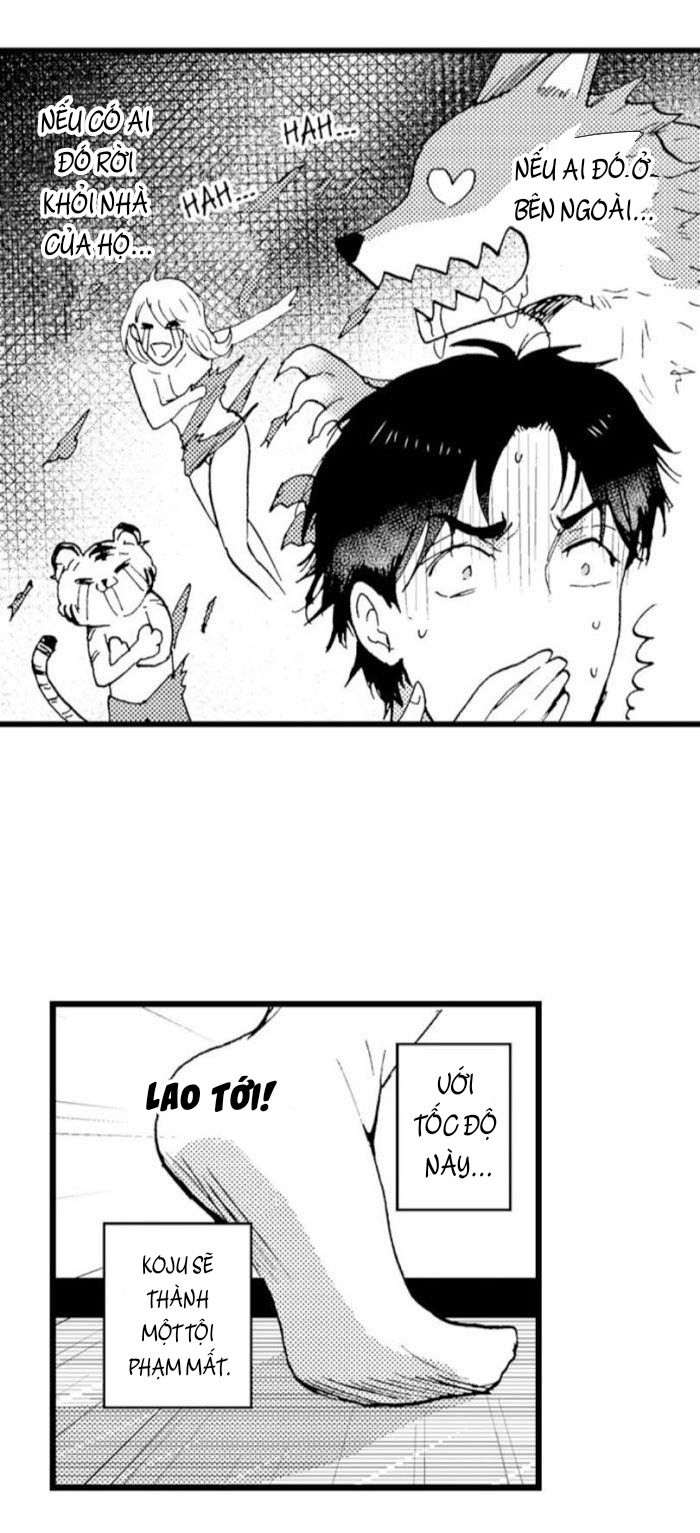 Trang 13