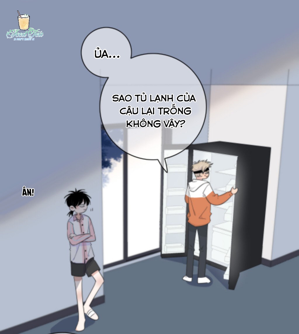 Trang 24