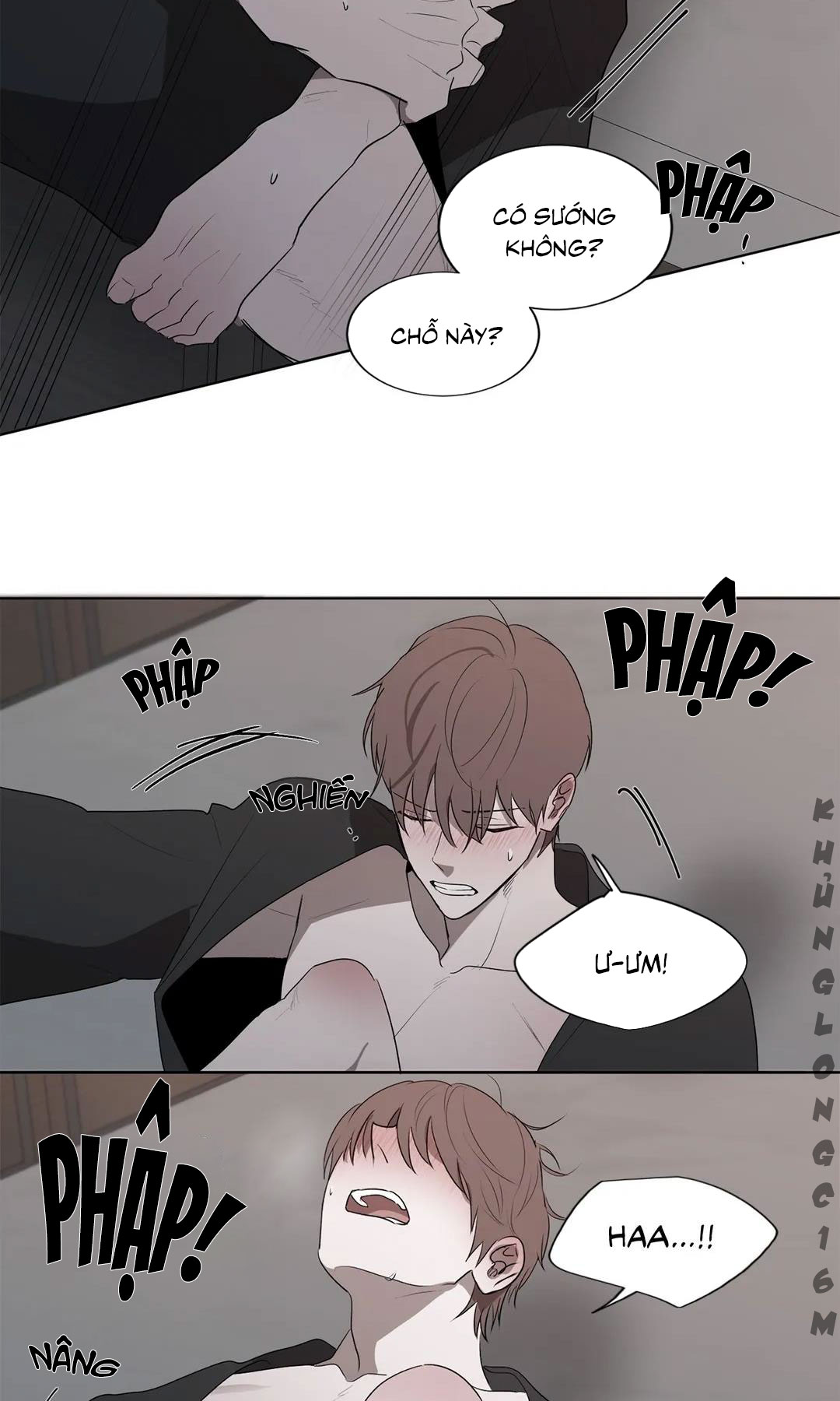 Trang 25