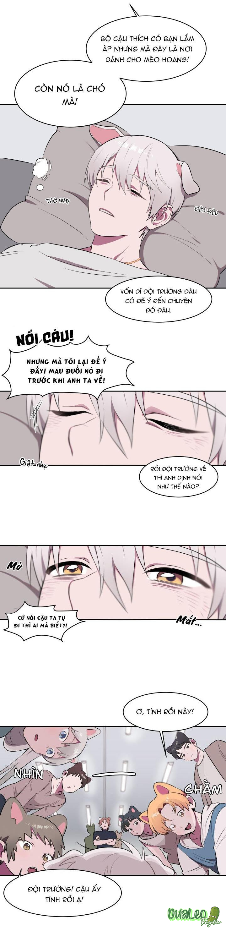 Trang 6