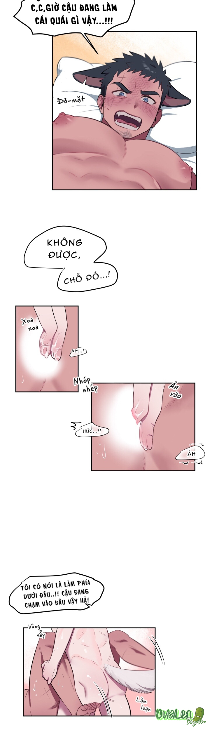 Trang 17