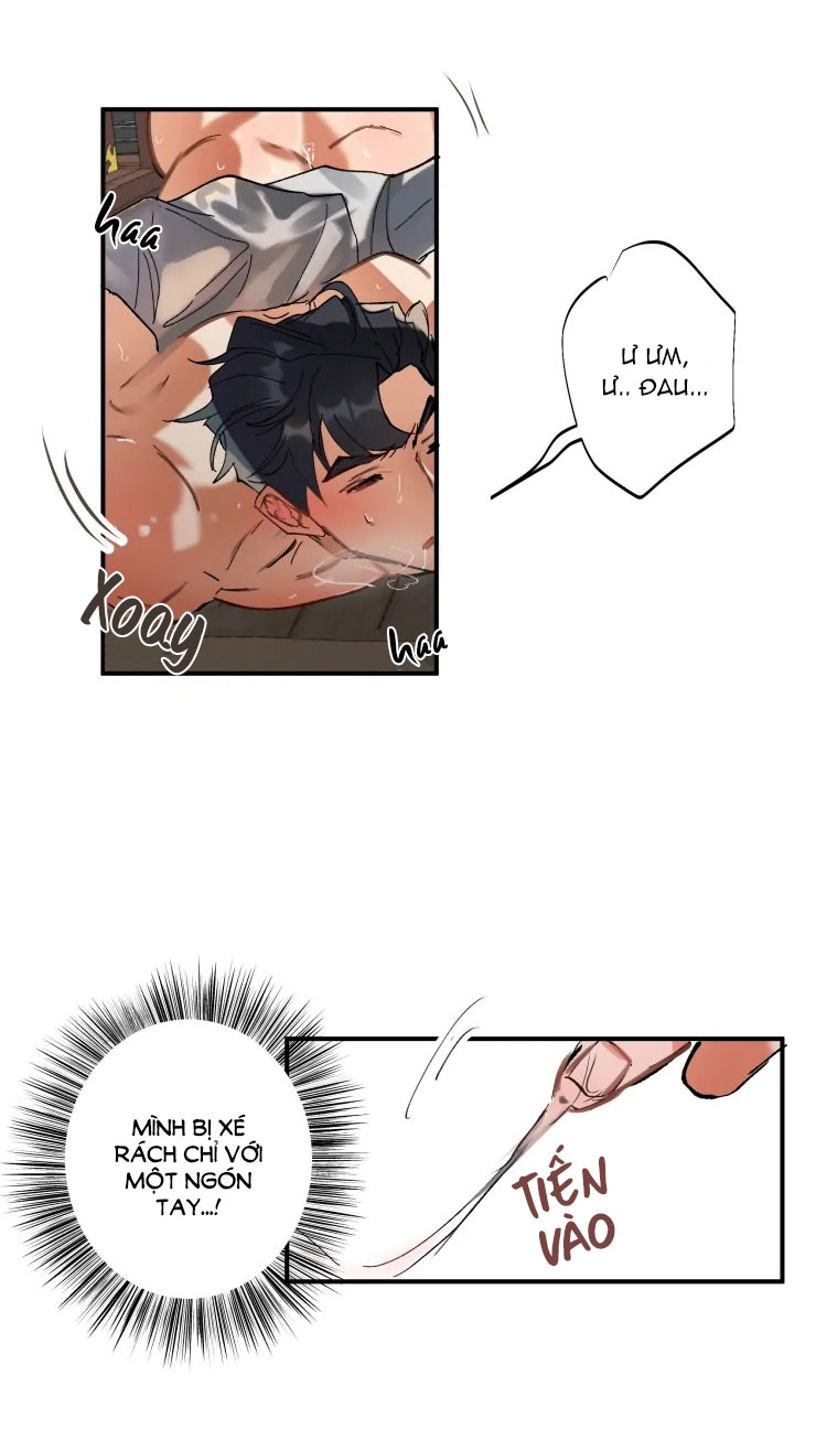 Trang 24
