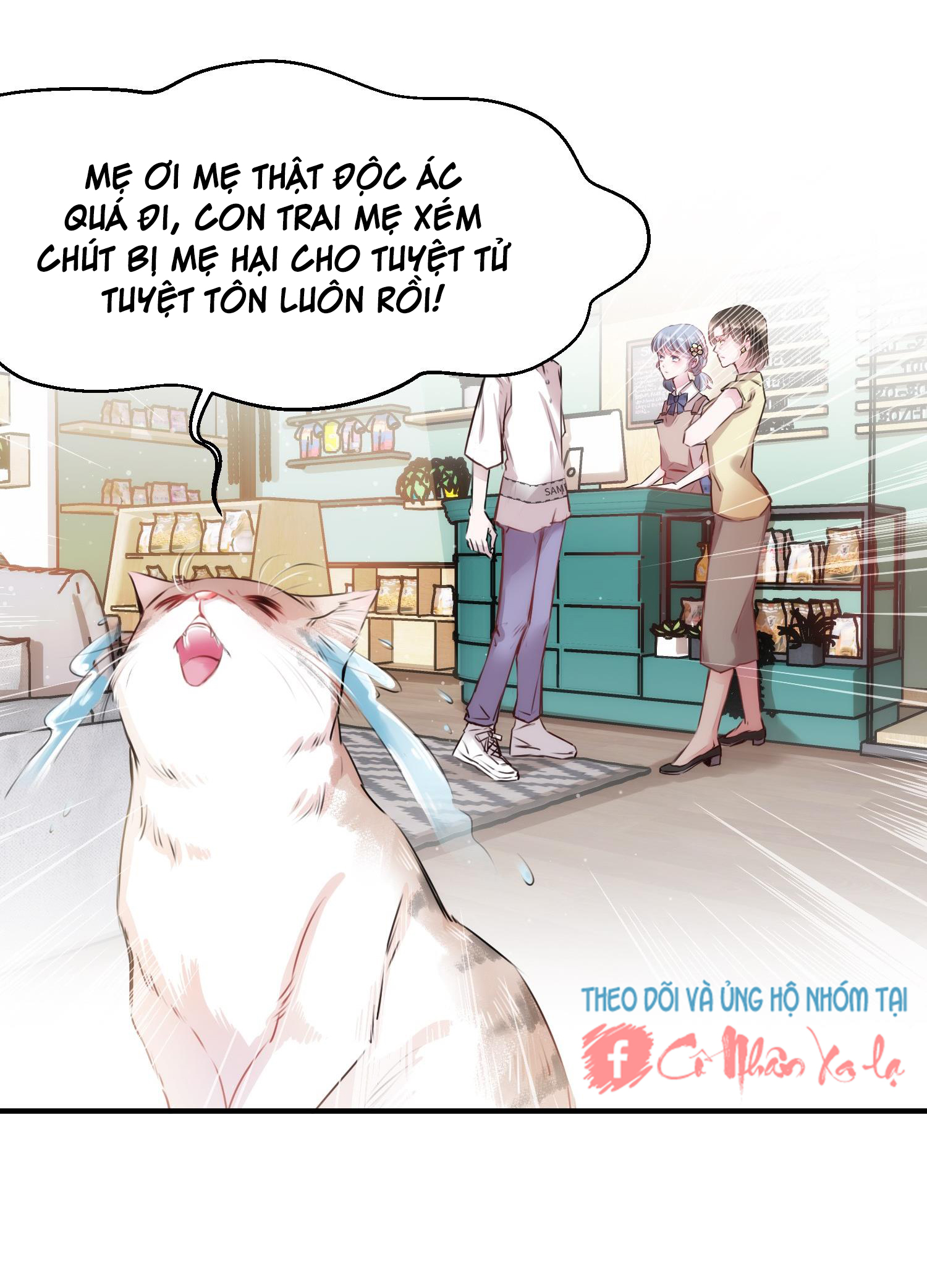 Trang 5
