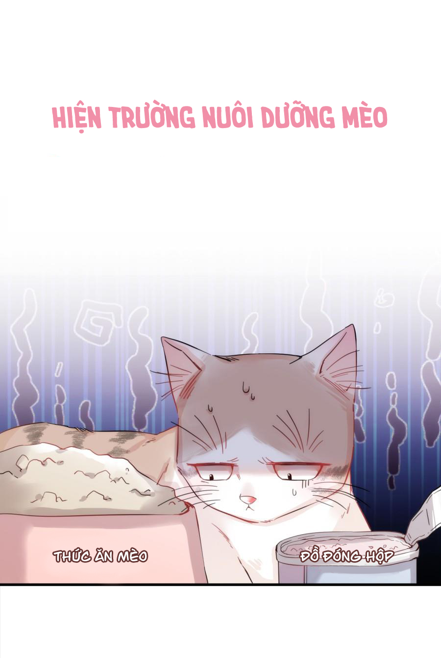 Trang 54