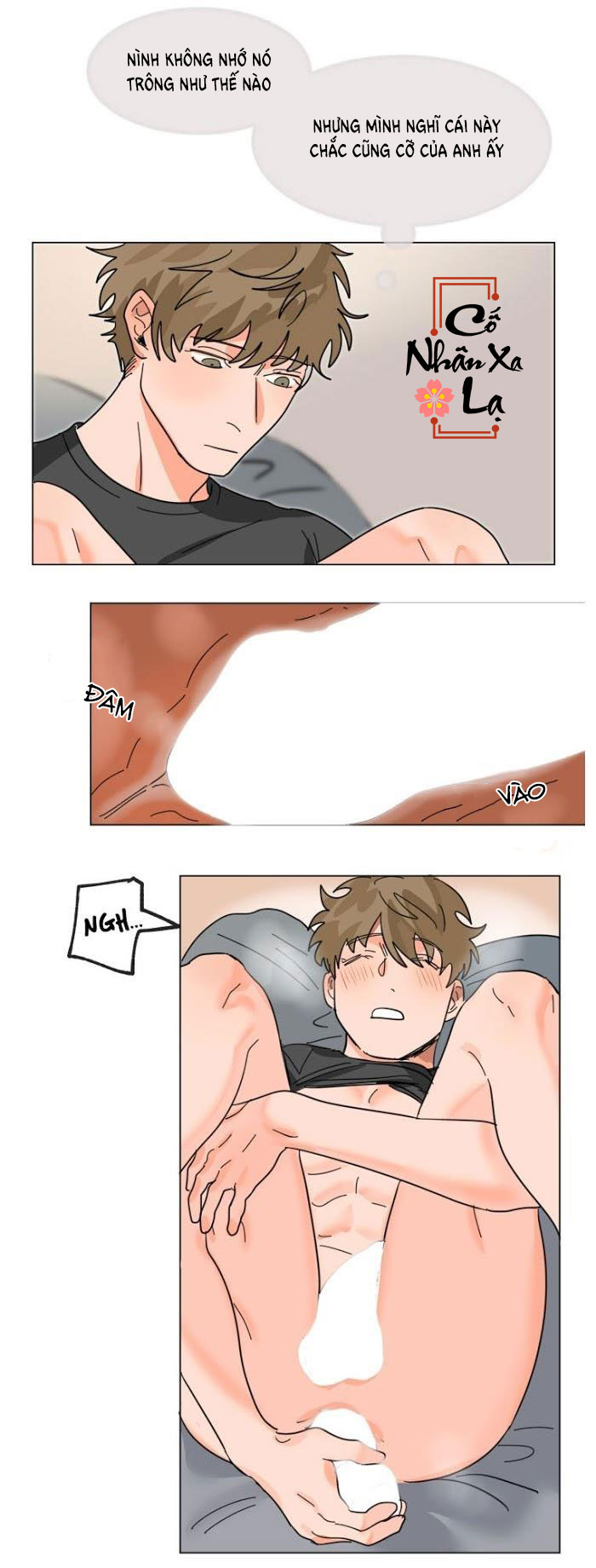 Trang 19