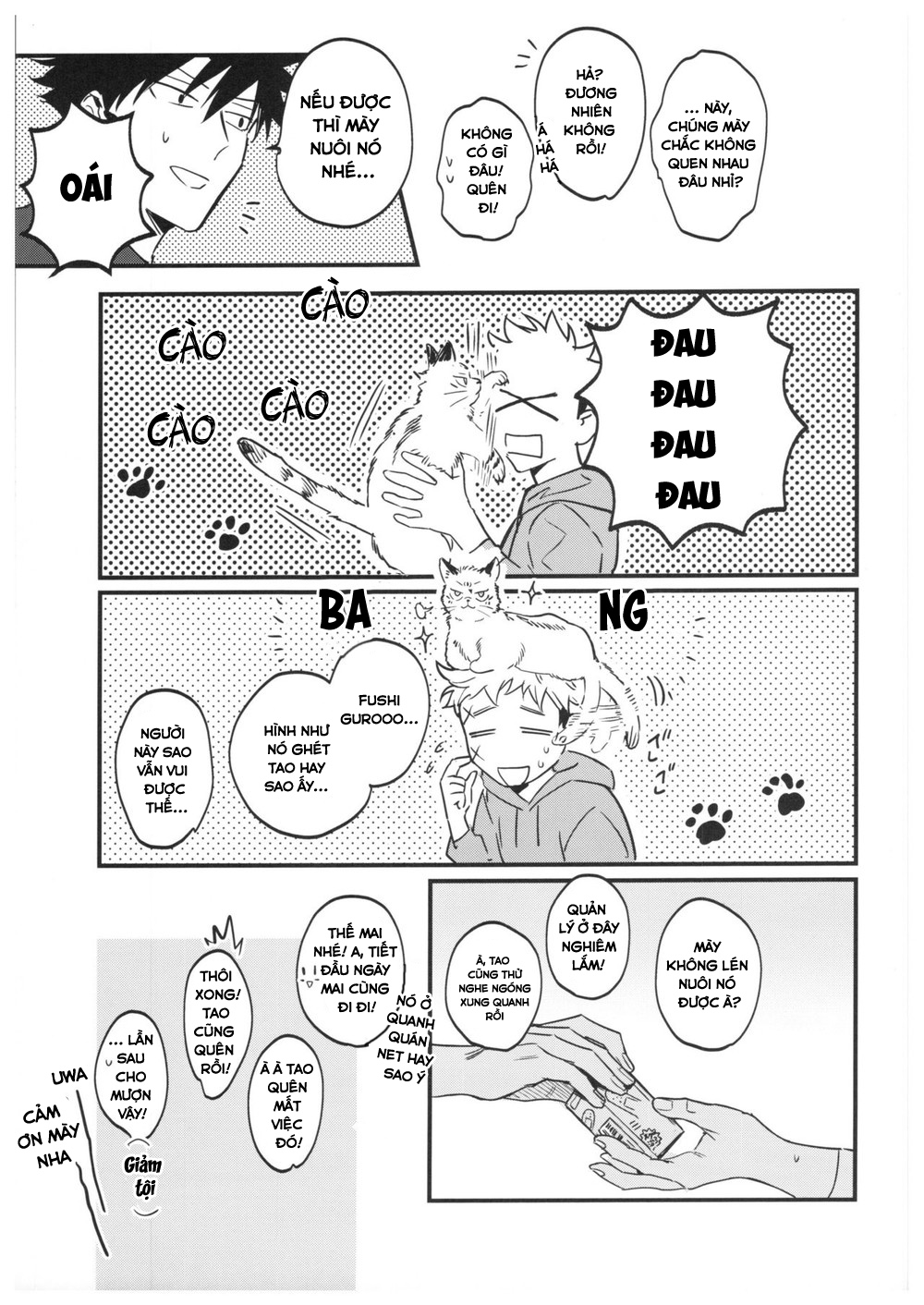 Trang 19