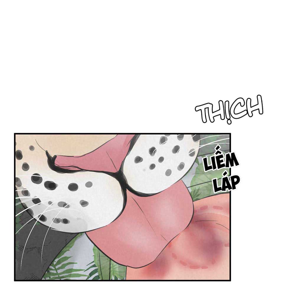 Trang 41
