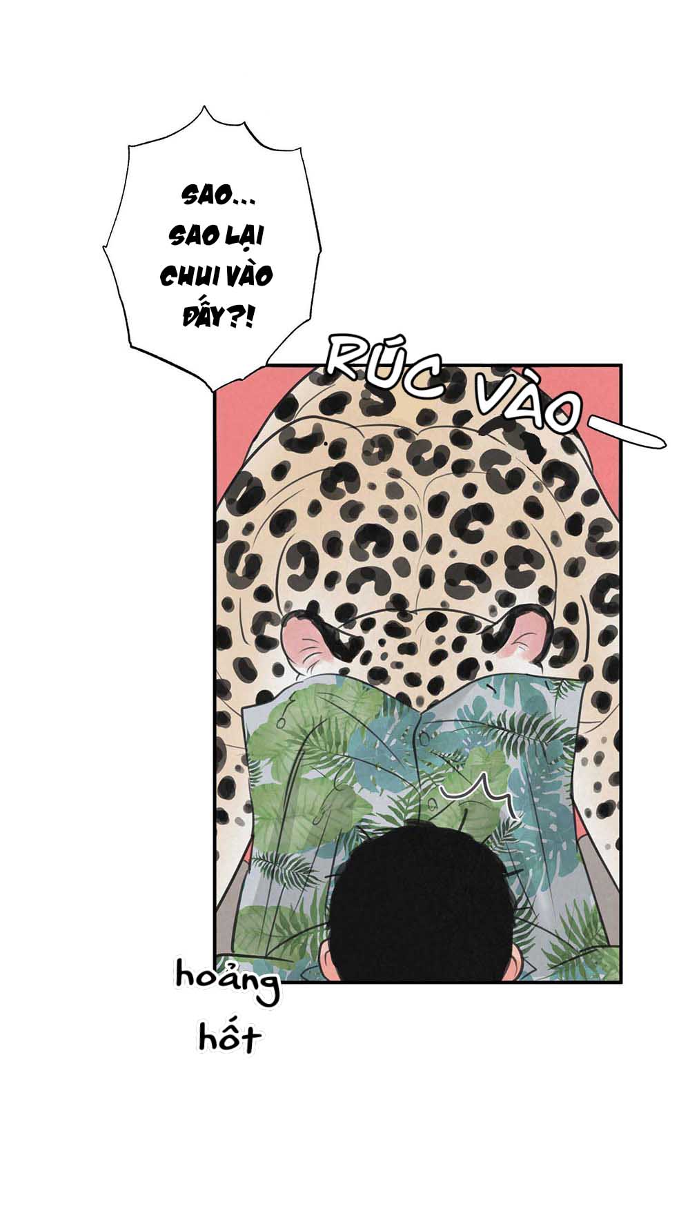 Trang 54