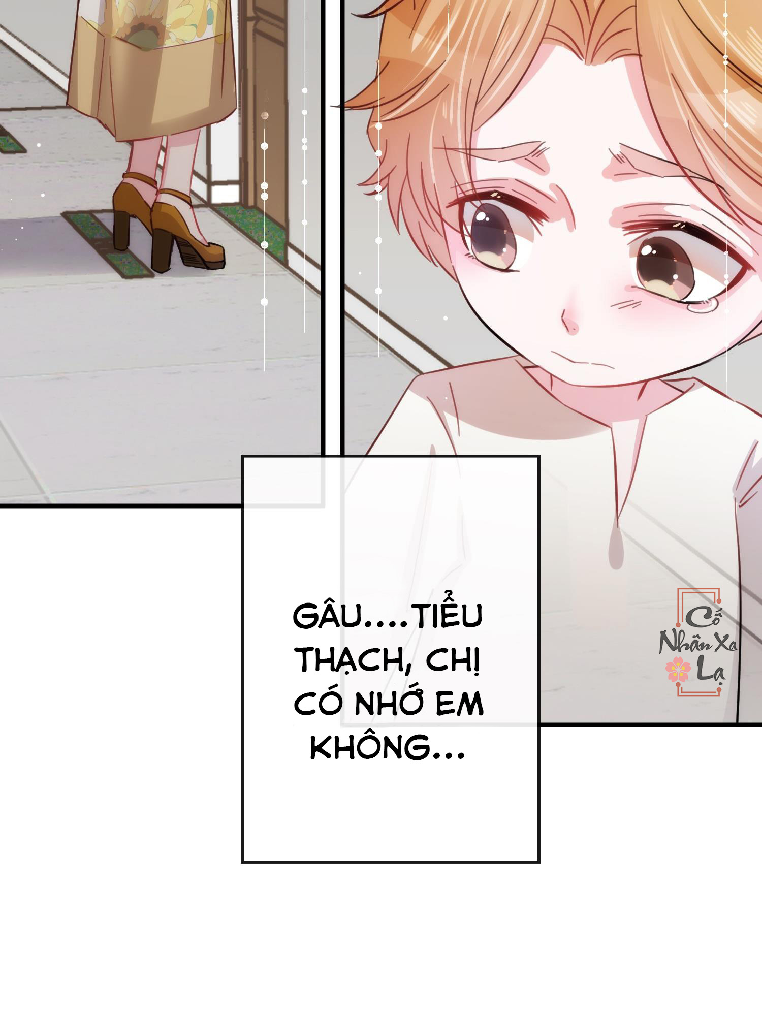 Trang 23