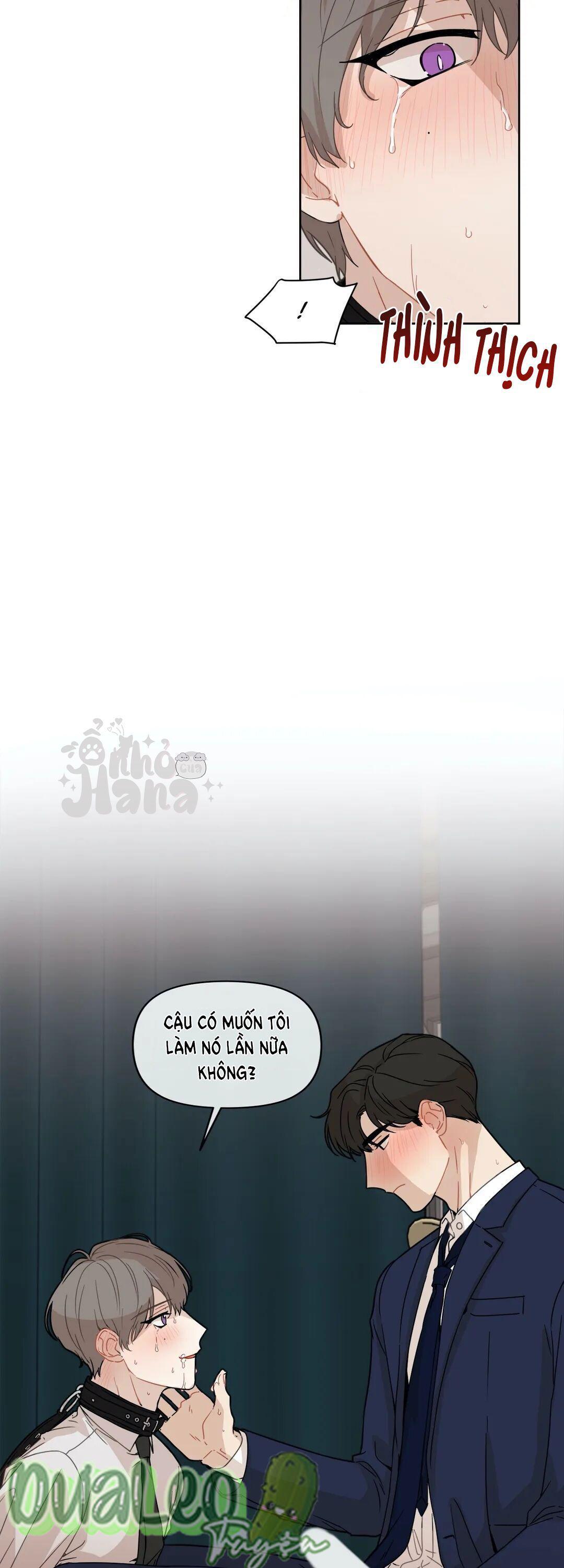 Trang 41