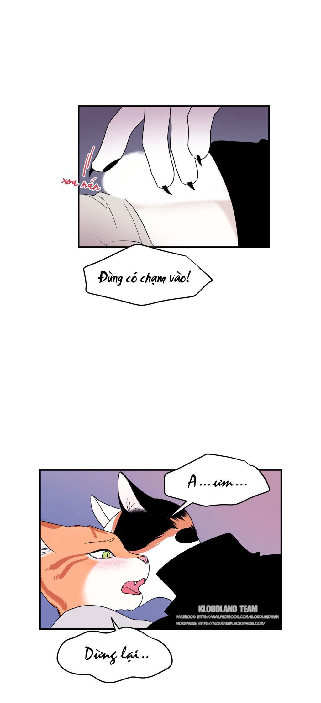 Trang 46
