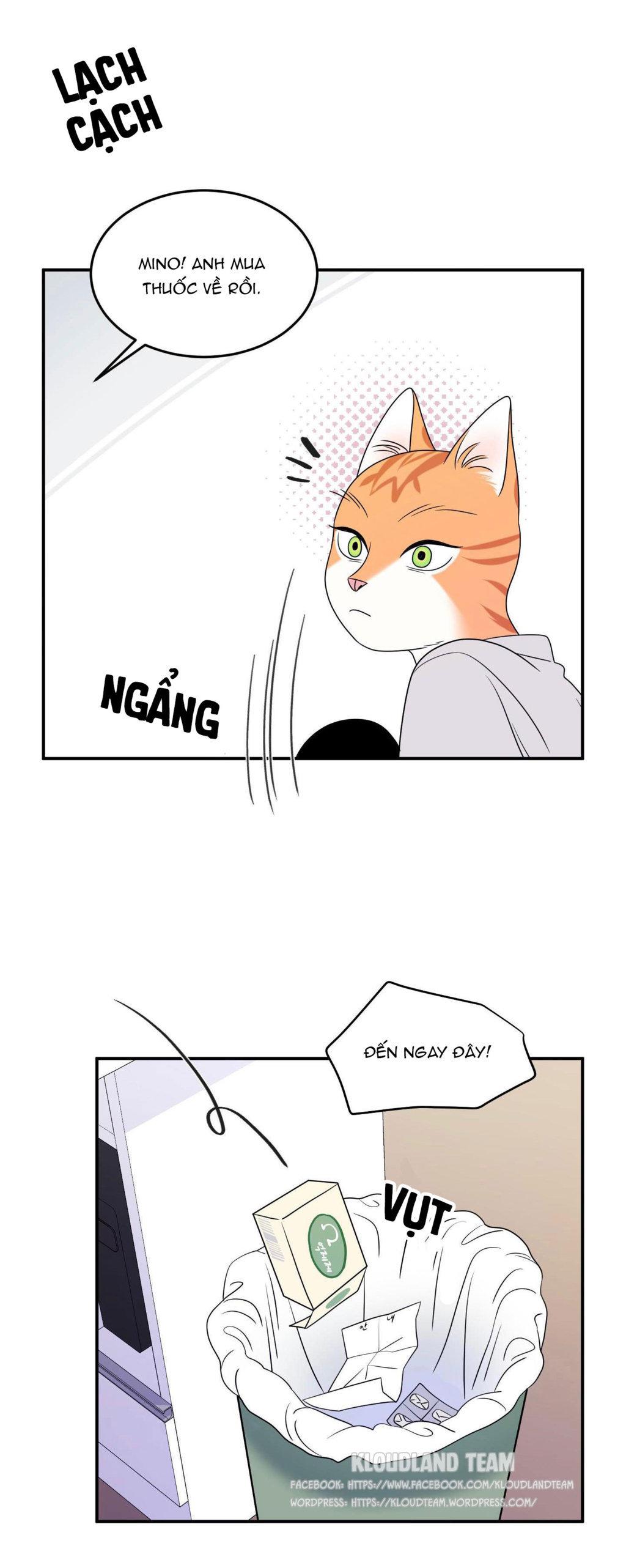 Trang 46