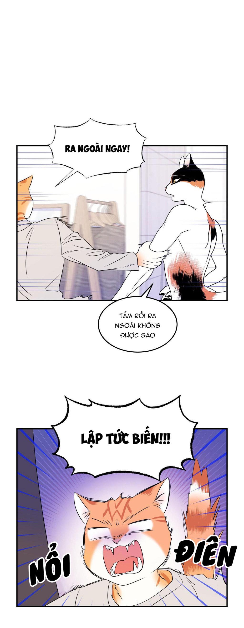 Trang 34