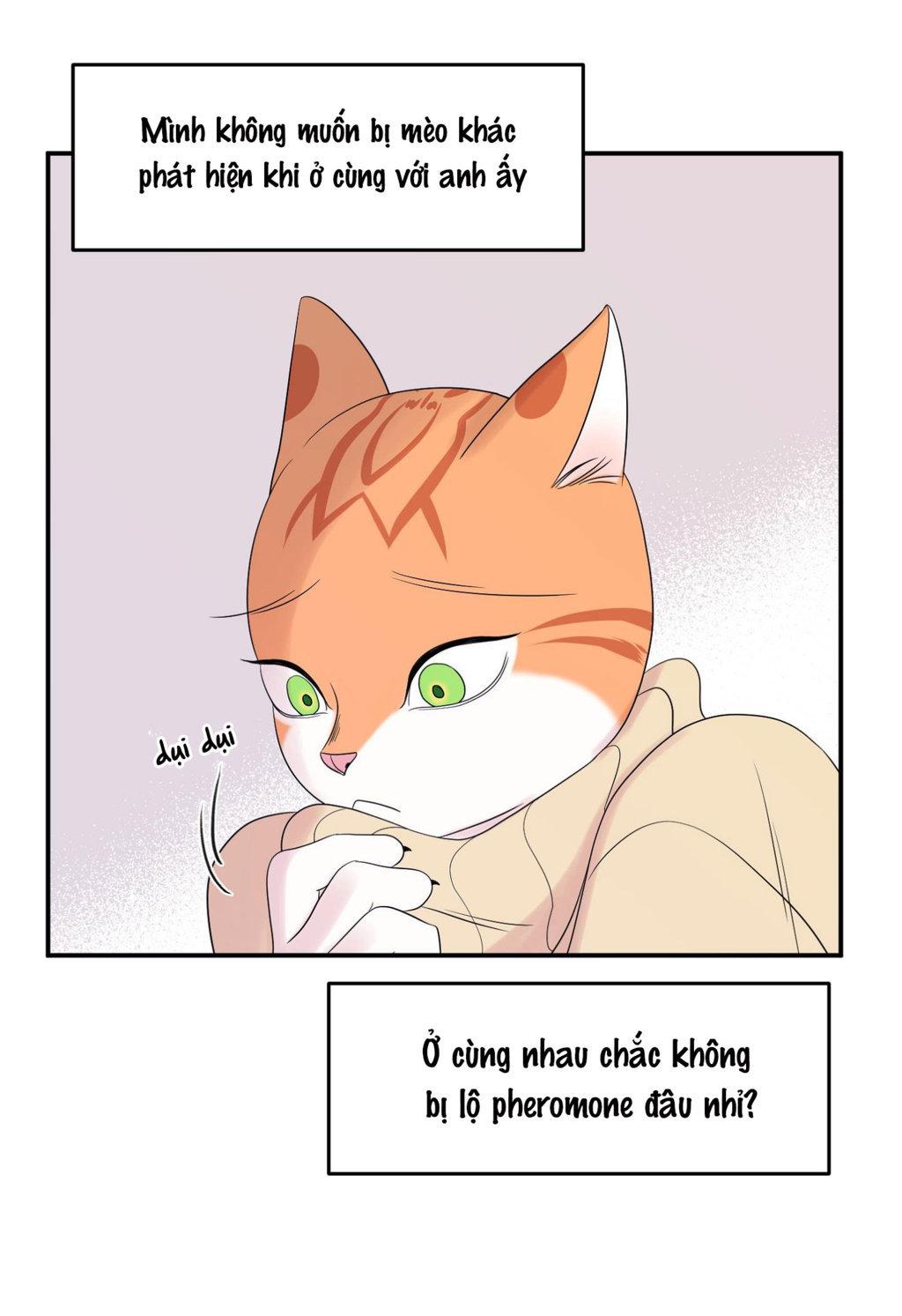 Trang 37