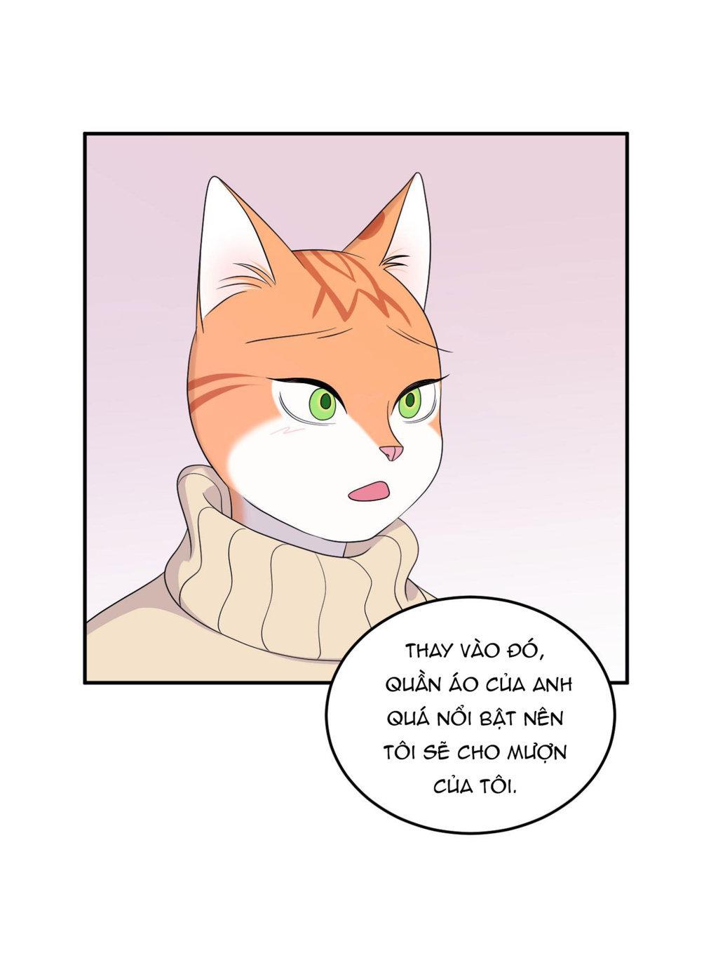 Trang 47