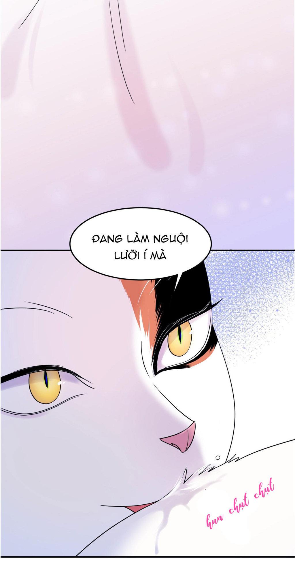 Trang 60