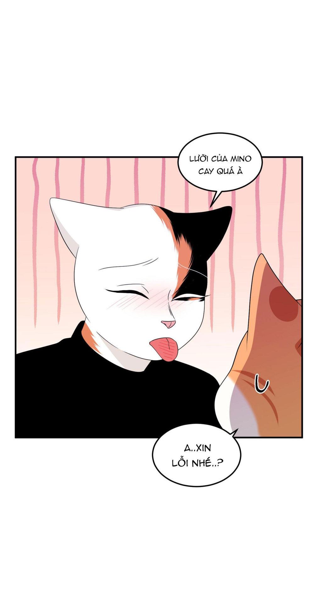 Trang 55