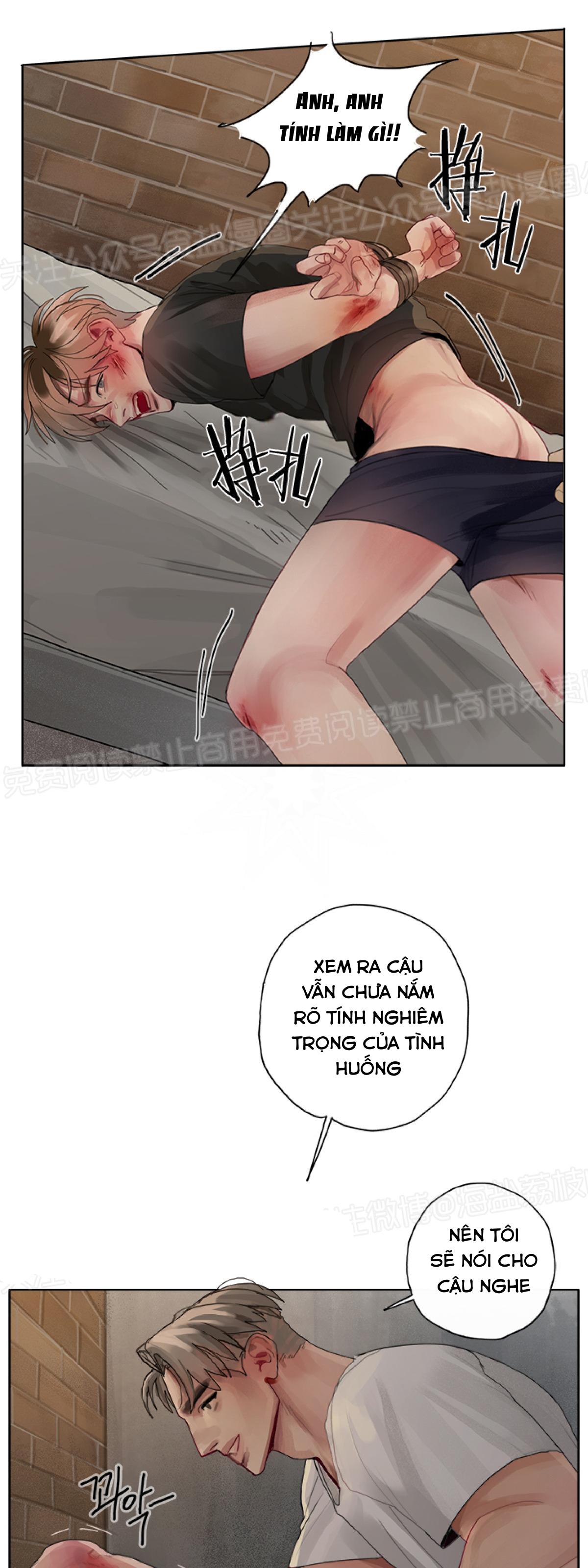 Trang 16