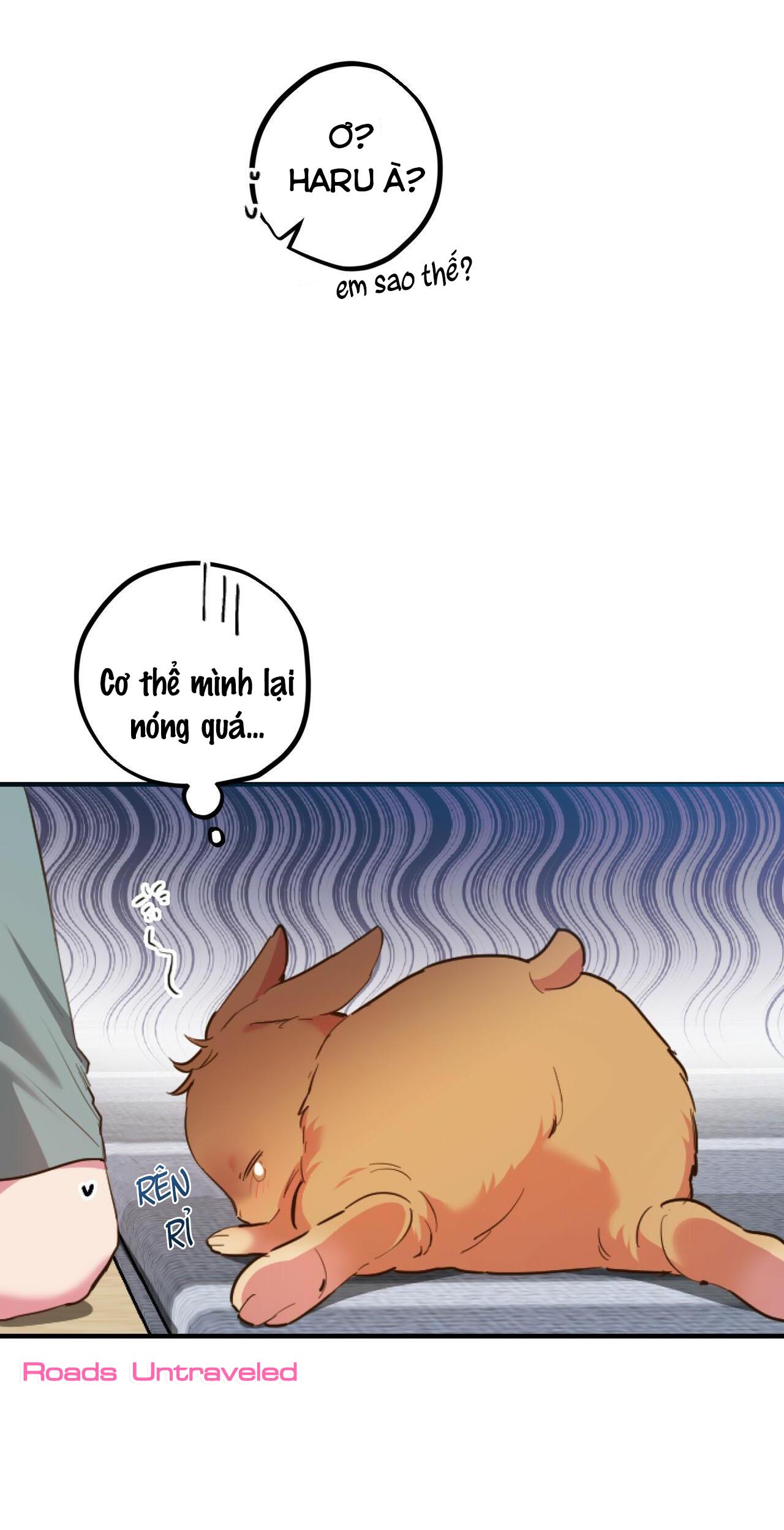 Trang 28