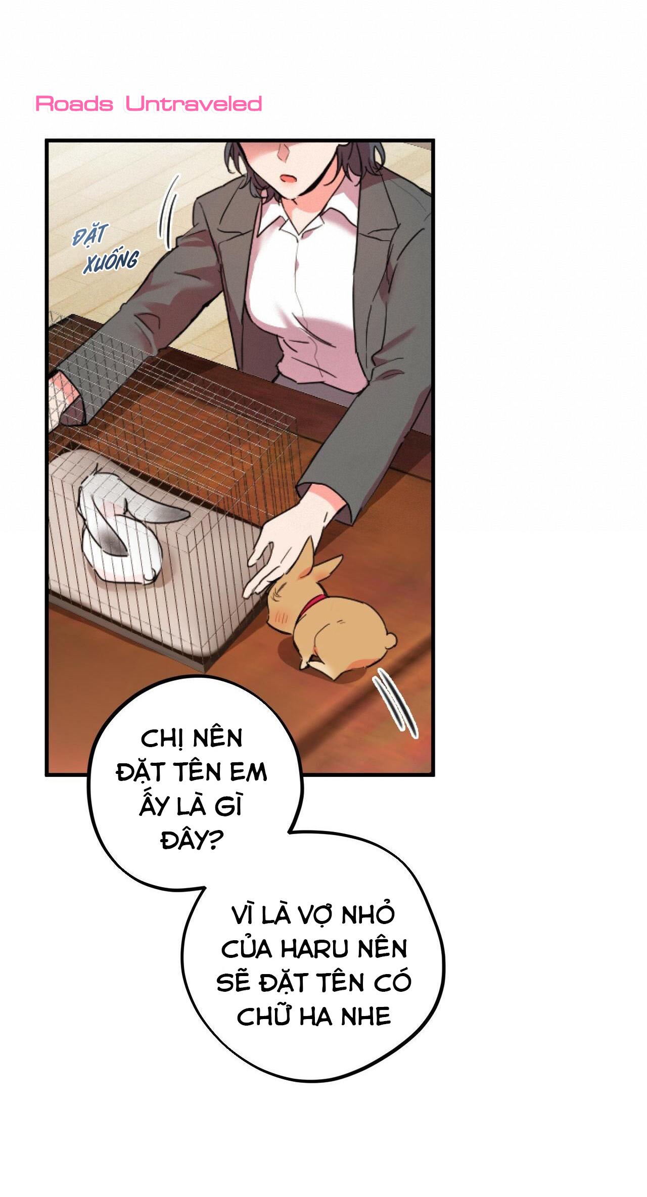 Trang 16