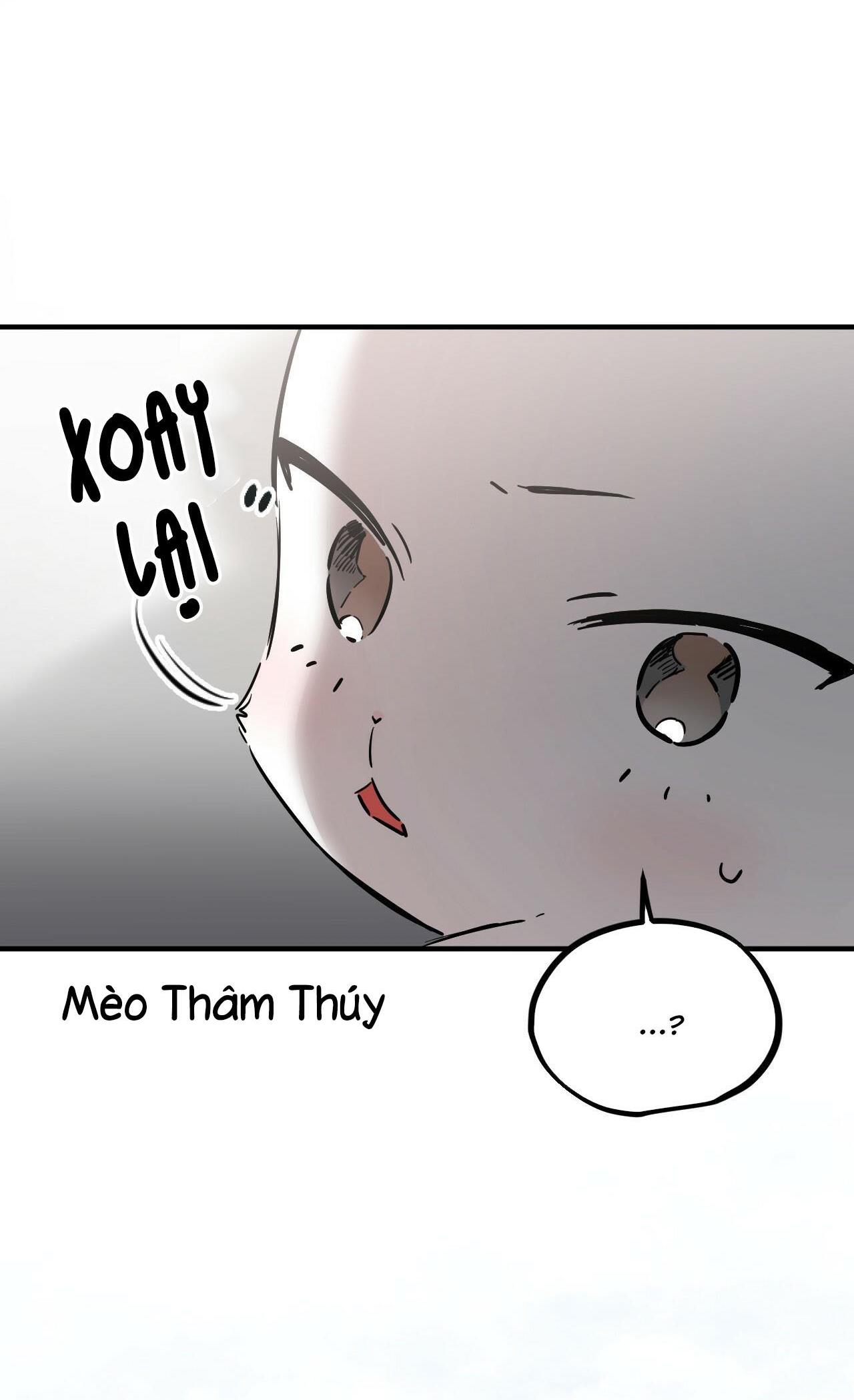 Trang 65