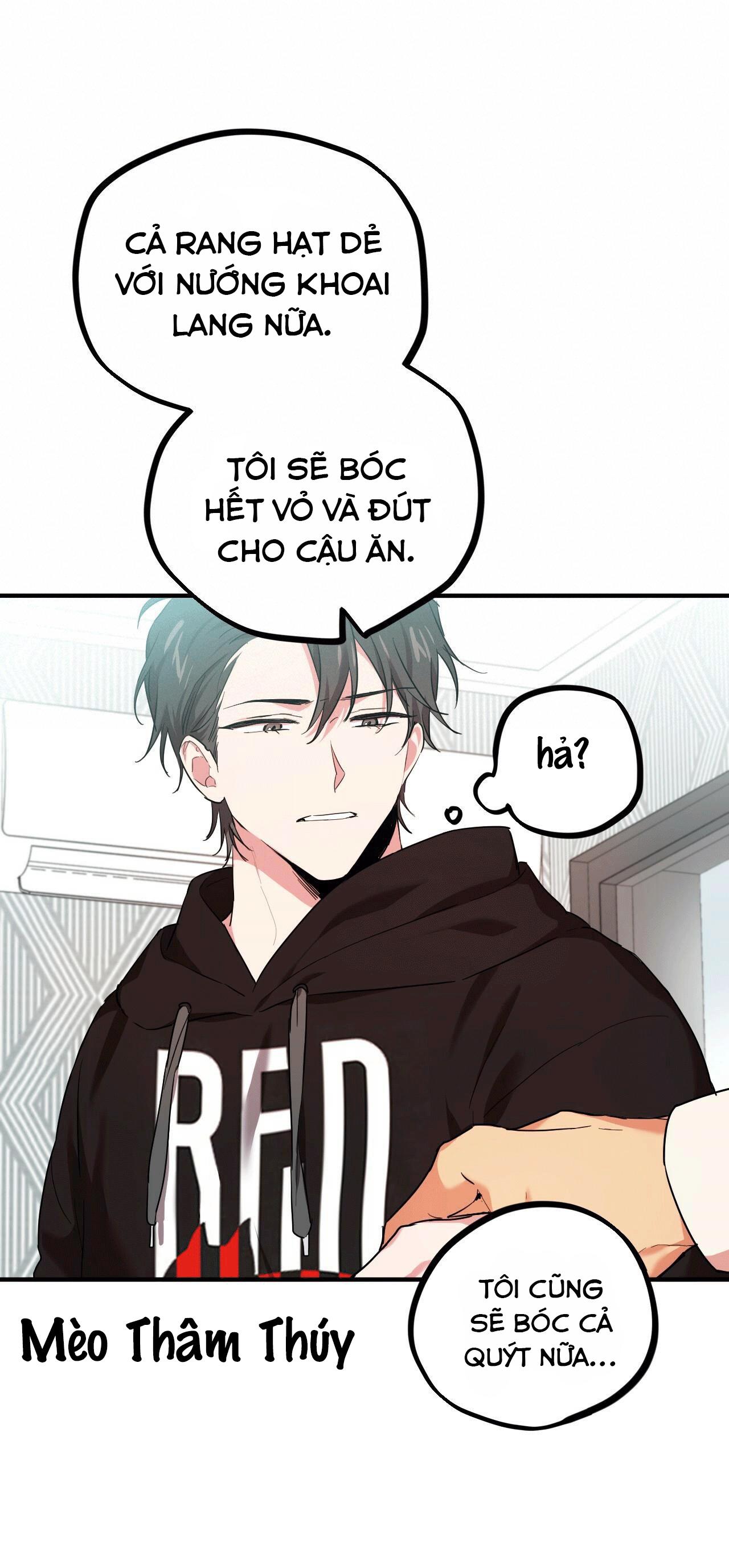 Trang 51