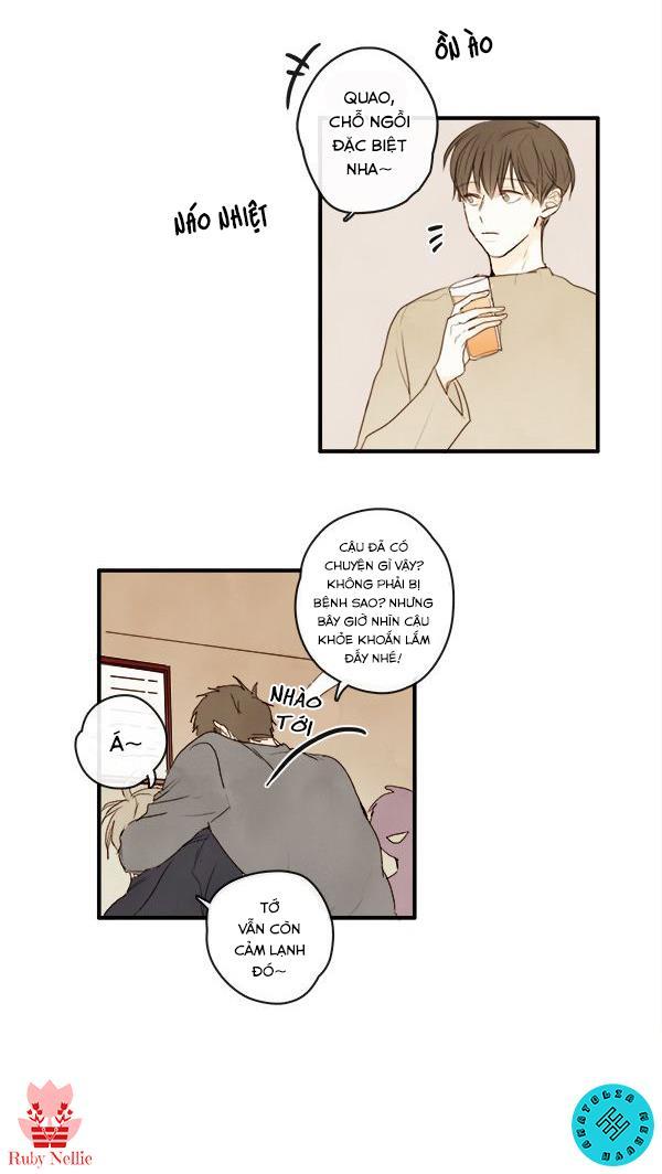 Trang 19