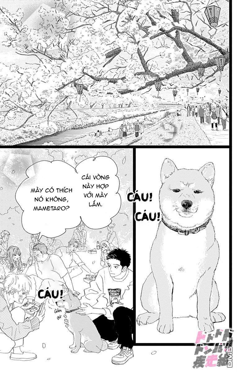 Trang 24