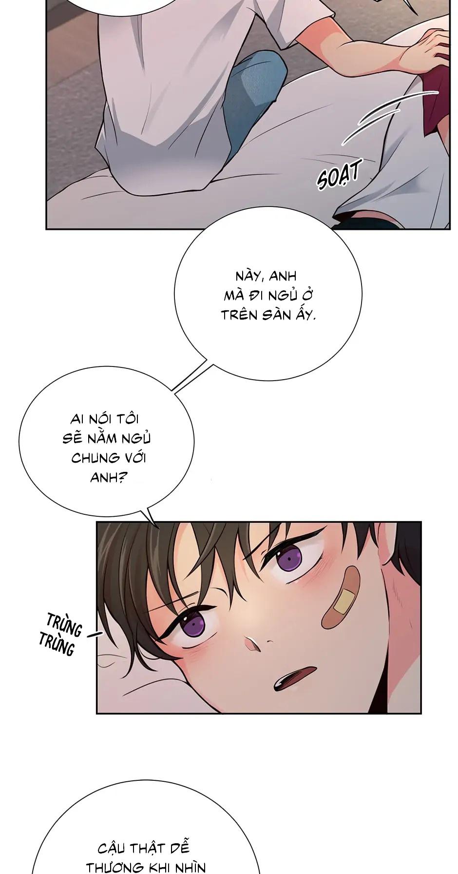 Trang 31