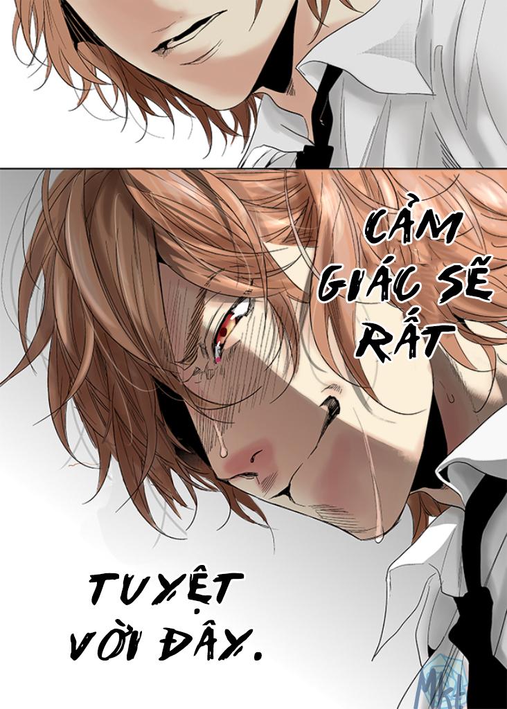 Trang 36