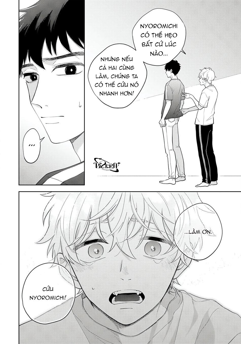 Trang 5