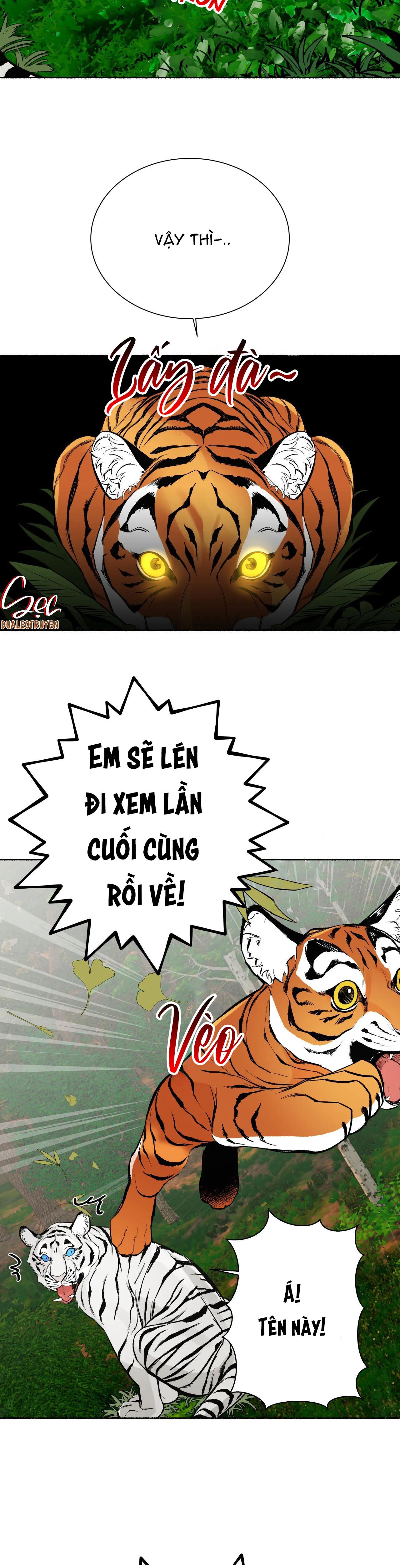 Trang 37