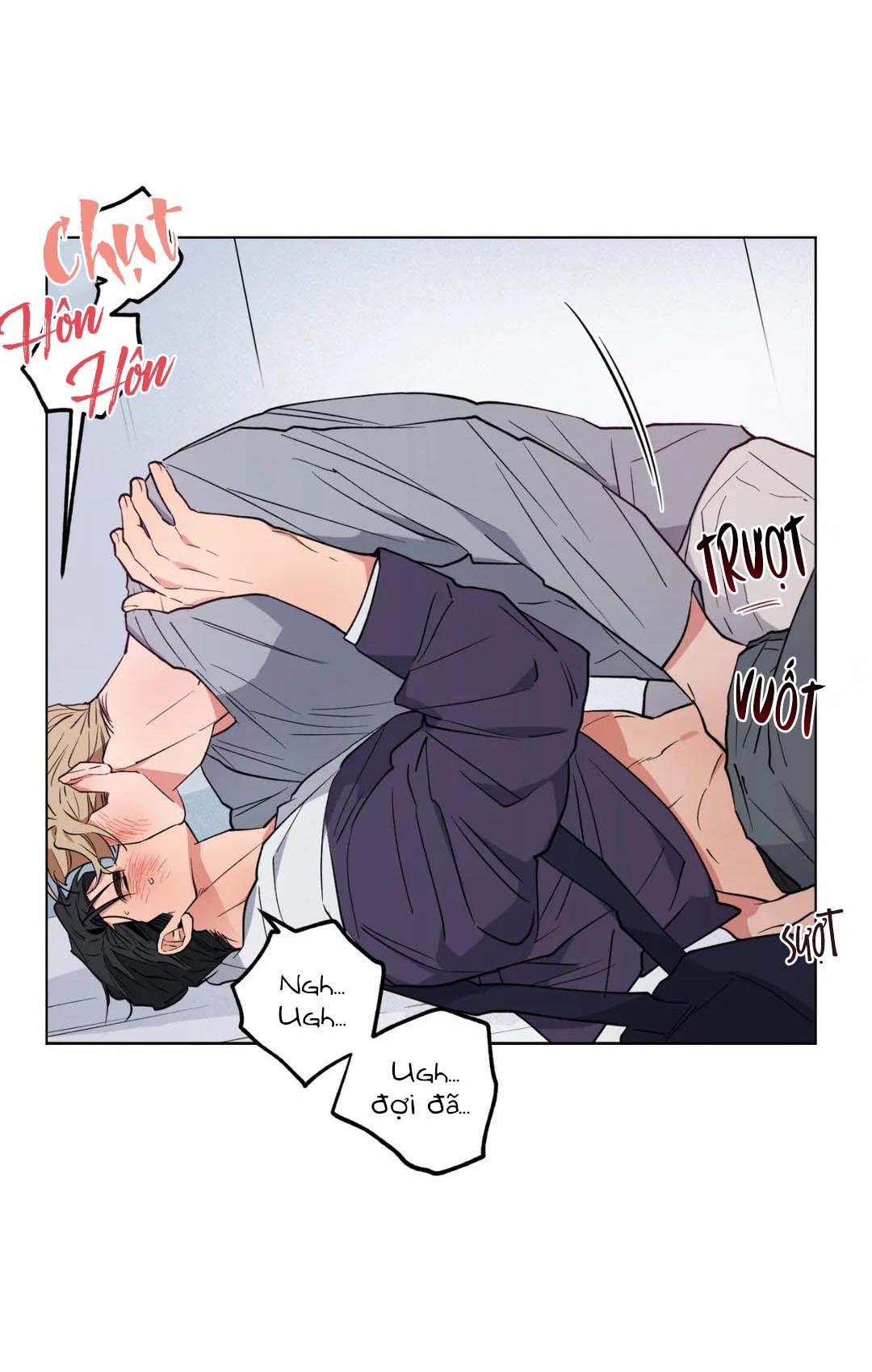 Trang 17