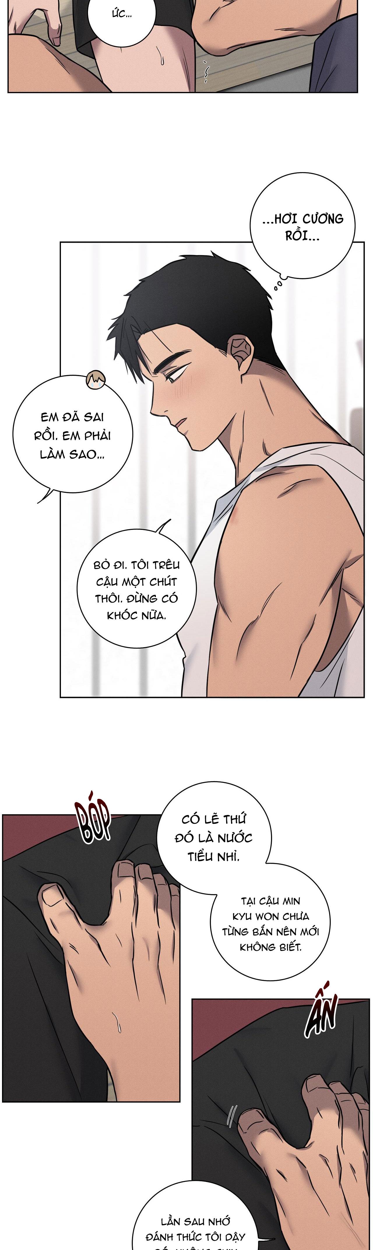 Trang 19