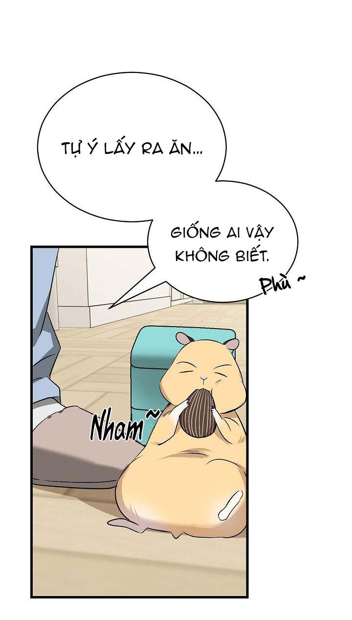 Trang 51