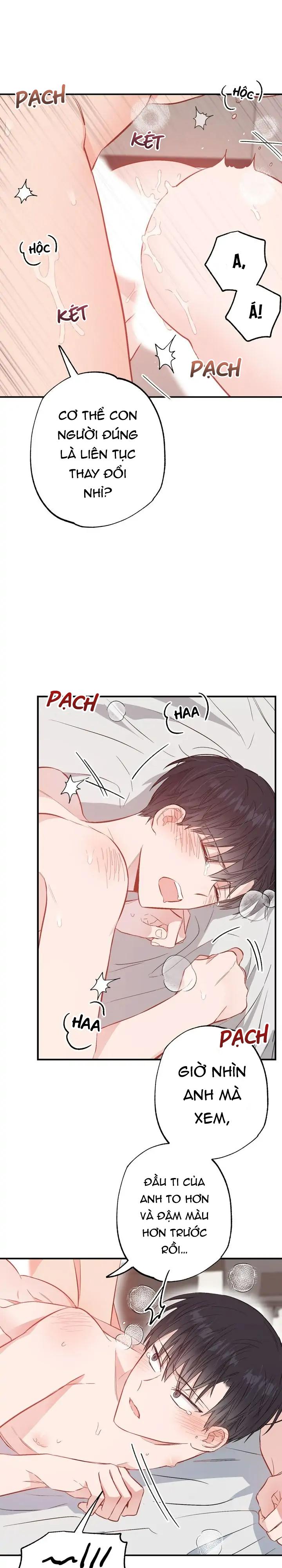 Trang 31