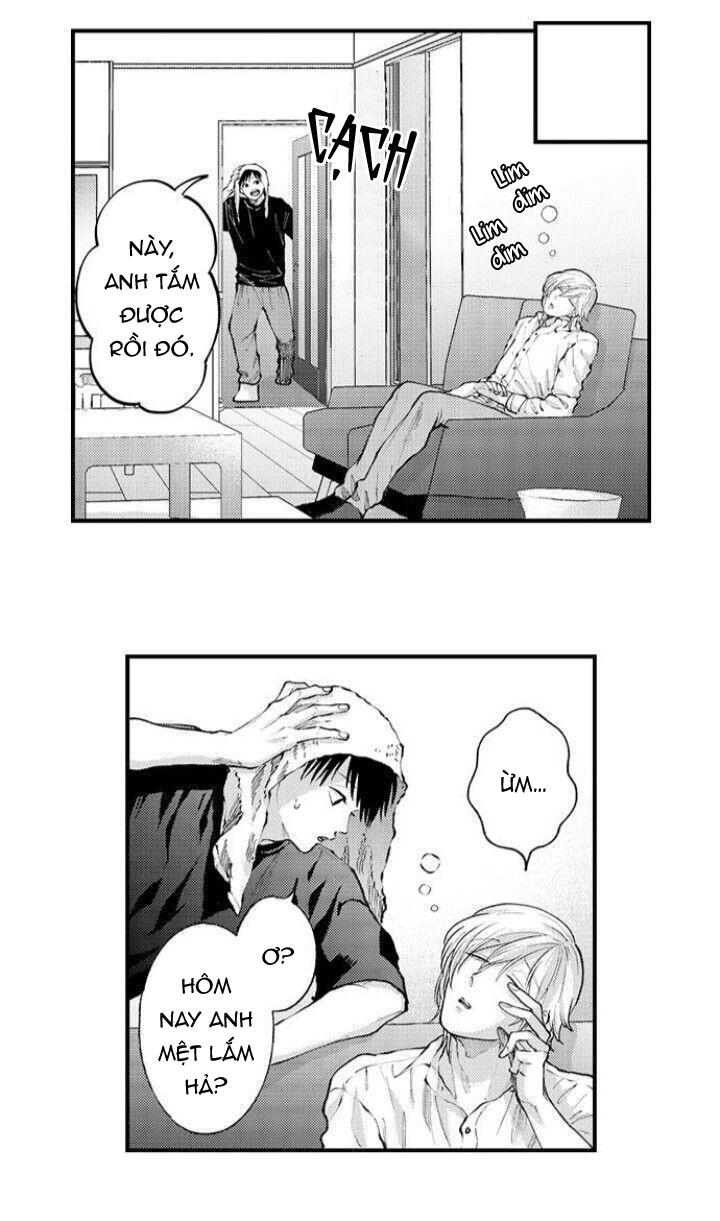Trang 19