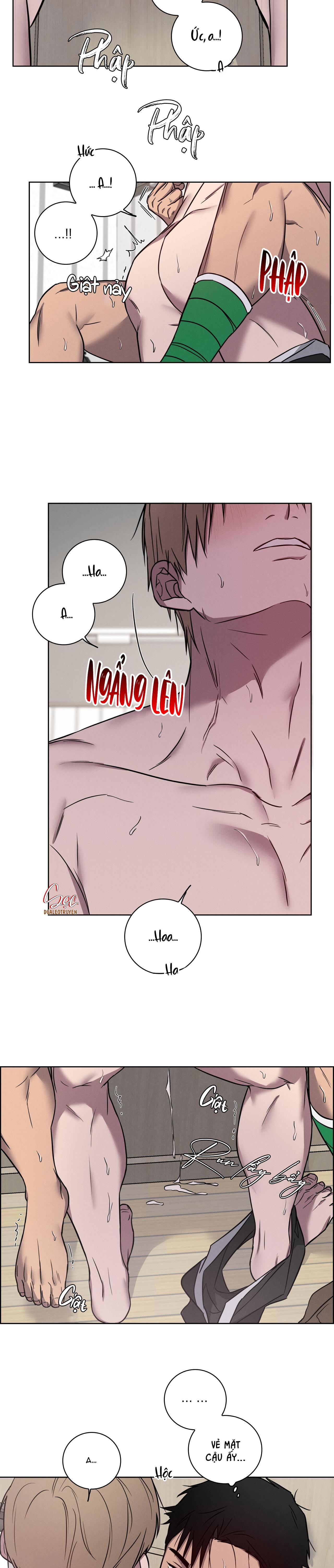 Trang 16