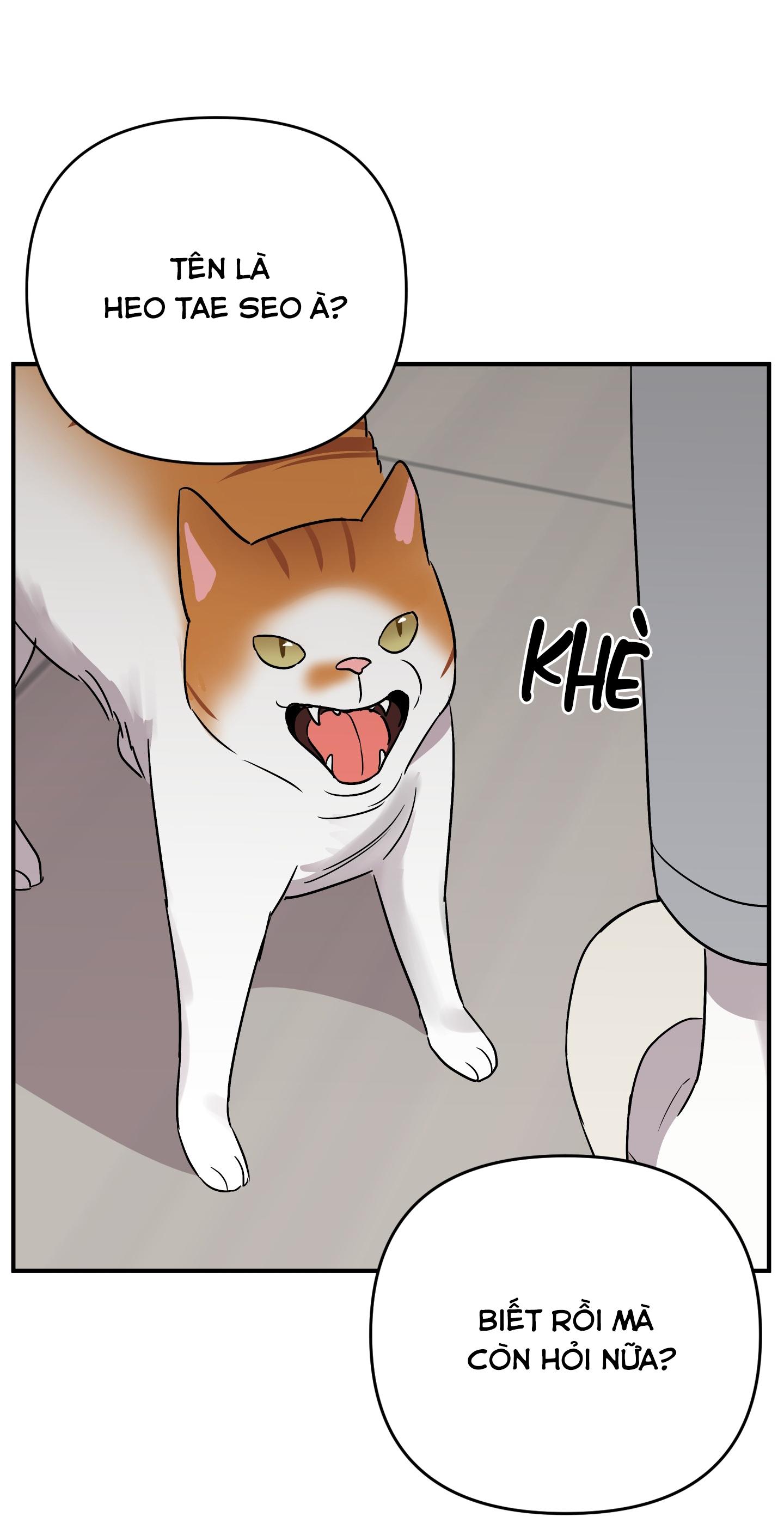 Trang 119