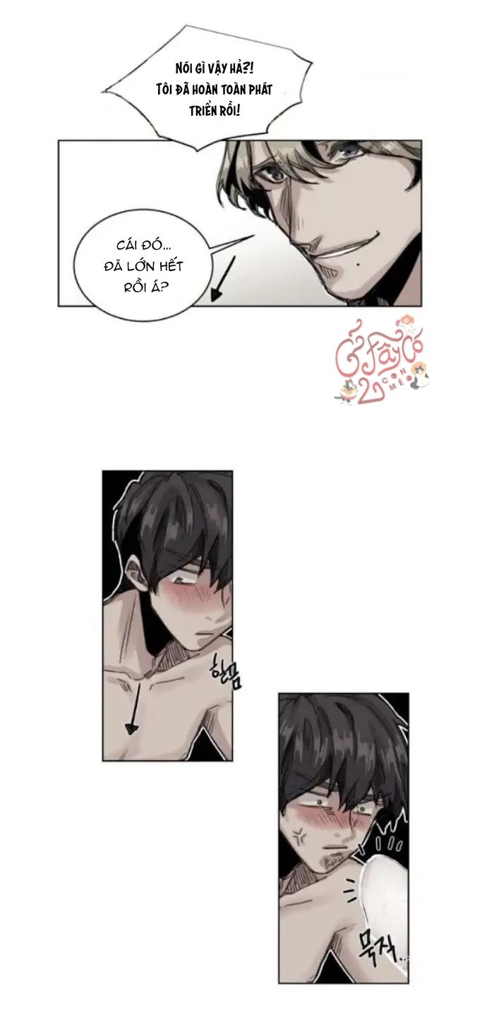 Trang 29