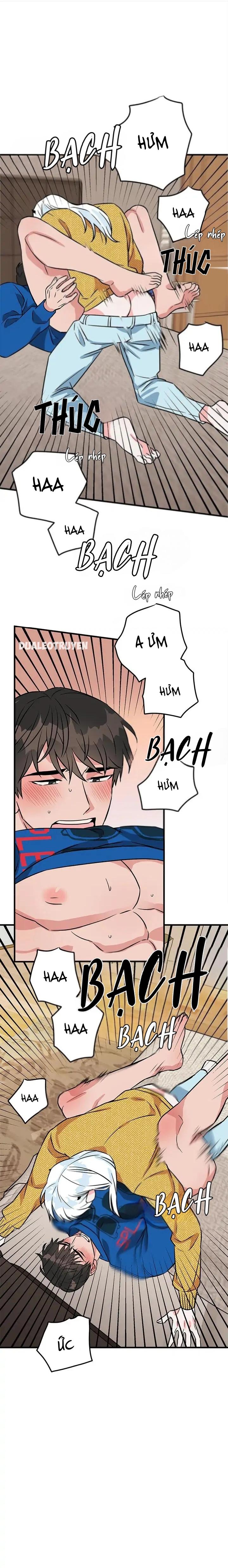 Trang 19