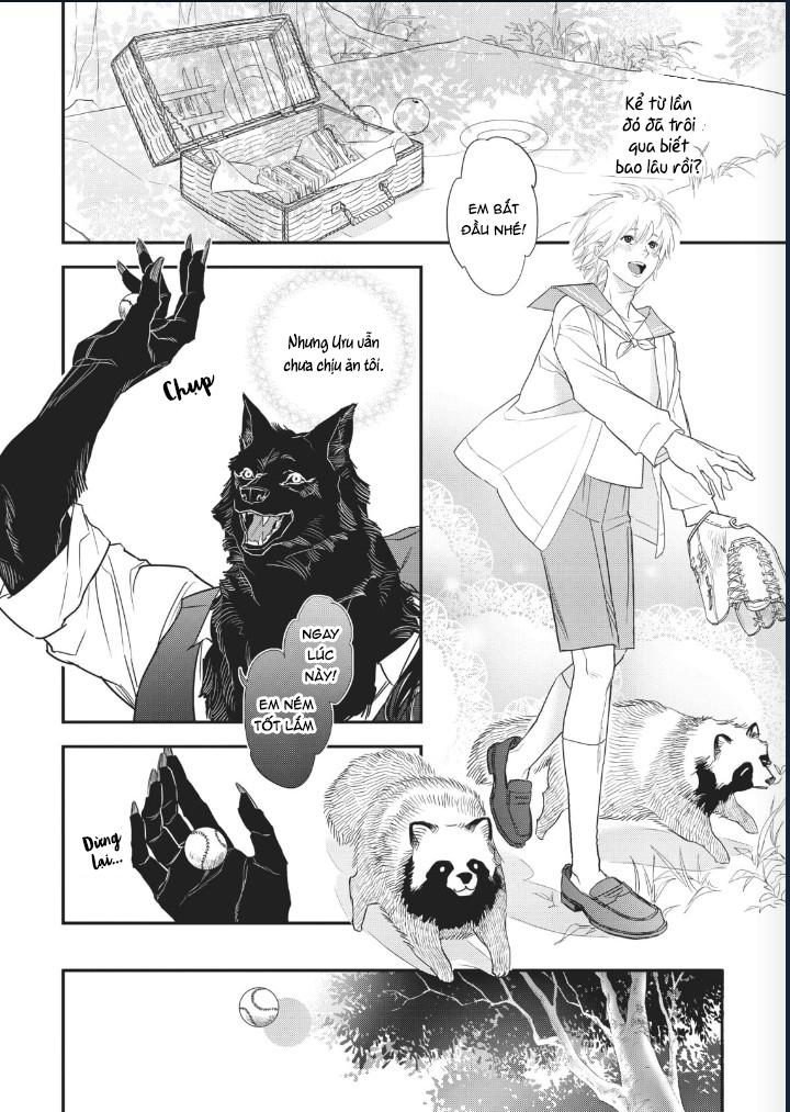 Trang 5