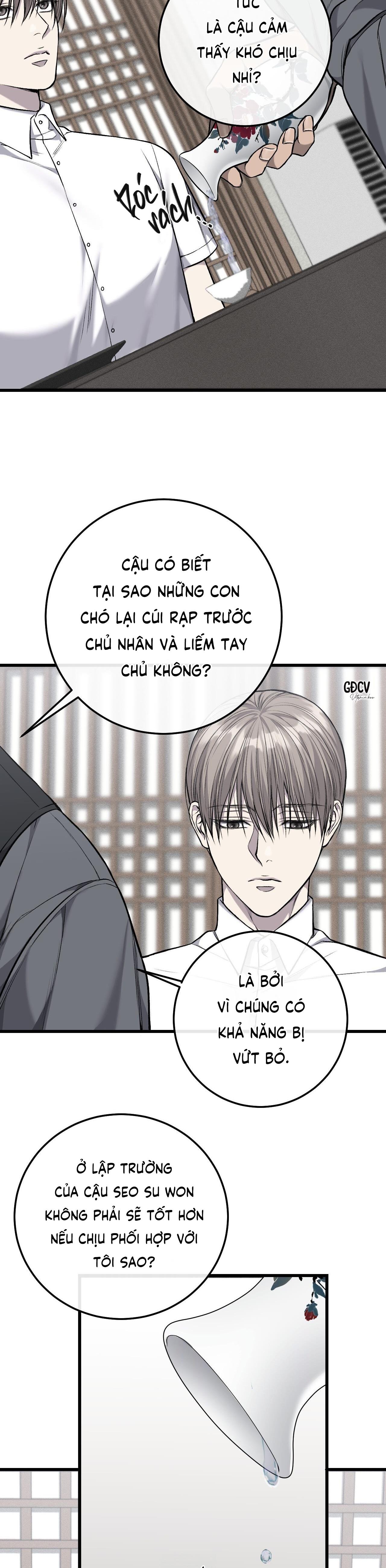 Trang 24