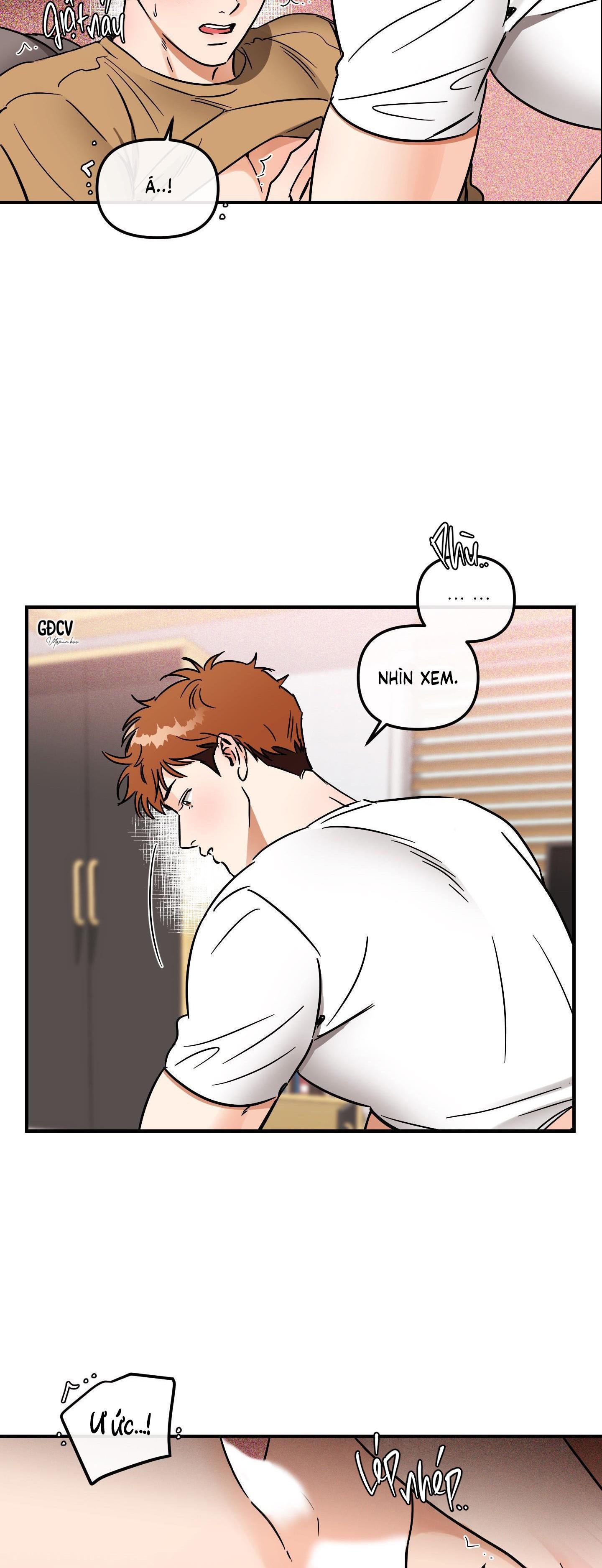 Trang 15