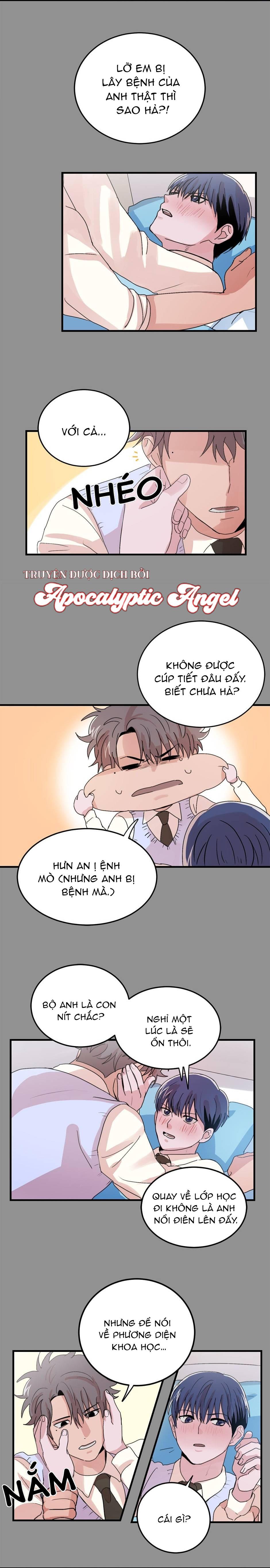 Trang 17